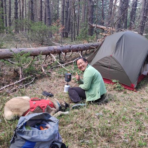 Yi Cui camping with the dog