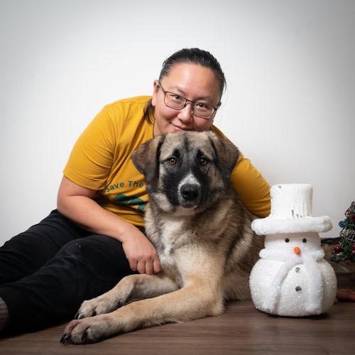 Dr. Yi Cui